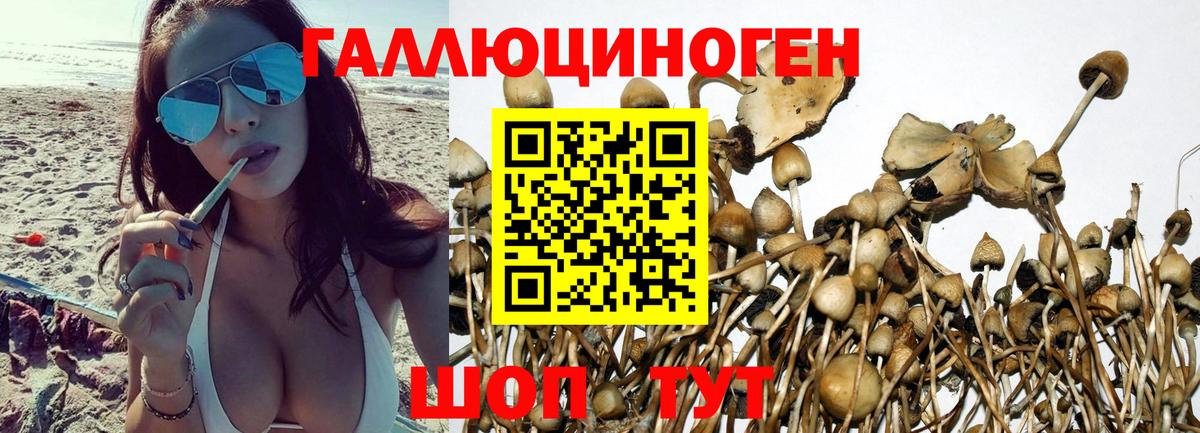 Мефедрон   Бошки Шишки  COCAIN  Купить наркотик  Новоуральск  Гашиш  Вход с VPN 