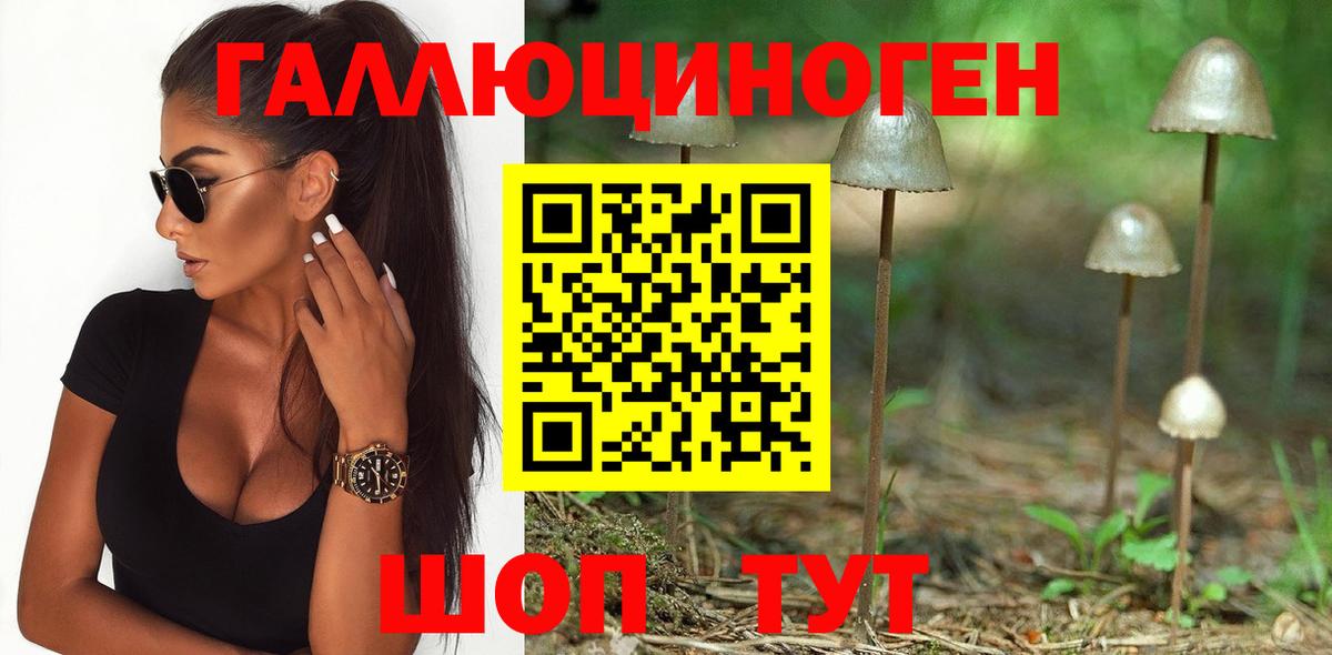 Псилоцибиновые грибы GOLDEN TEACHER Новоуральск
