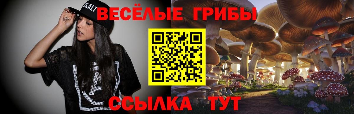Новоуральск  Псилоцибиновые грибы Psilocybine cubensis  Вход с VPN 